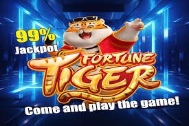 Account safety and cricket session reading on 678bd apk mobile pages